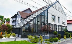 Hotel Subcarpati